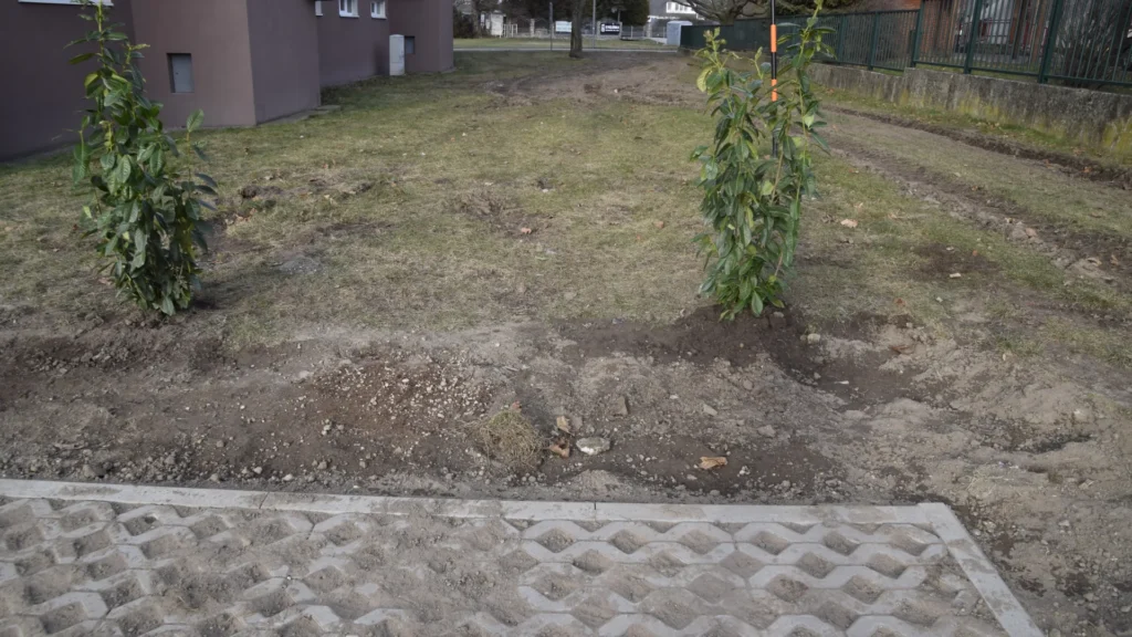 Modernizácia centrálnej mestskej zóny — juh